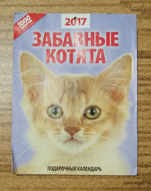 Календарь Забавные котята 2017 год